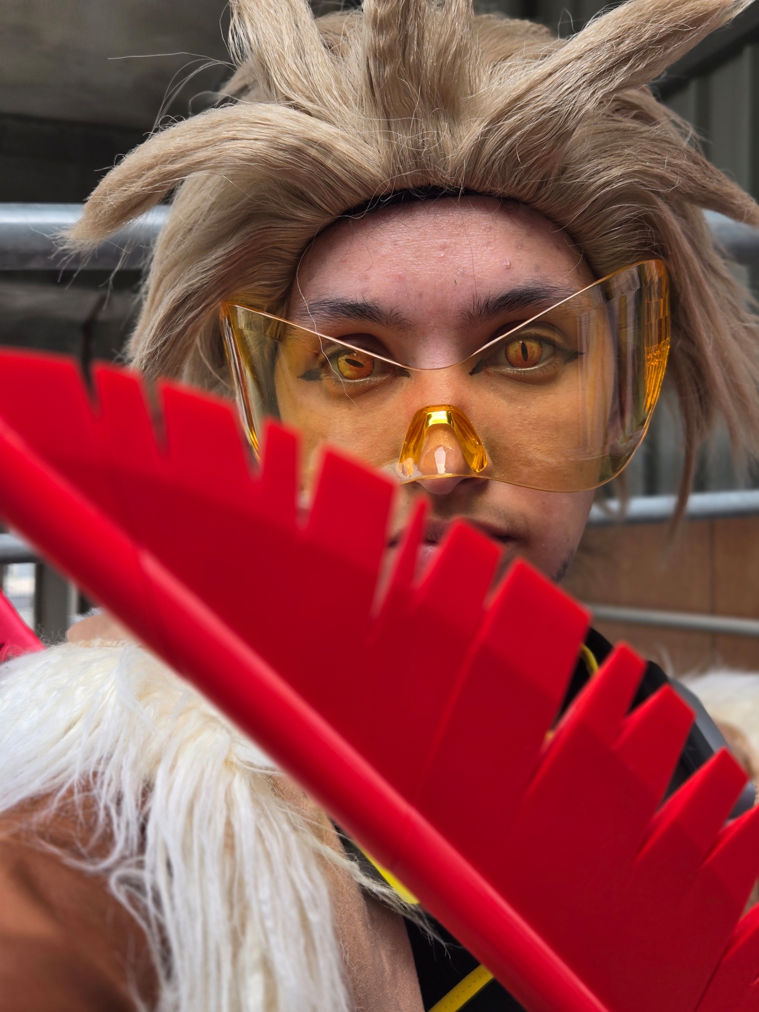 Hawks — photo 10