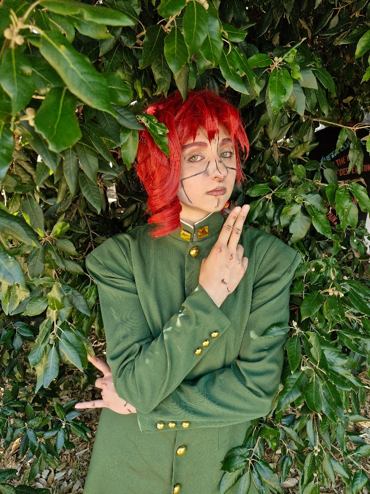 Noriaki Kakyoin - Photo 8