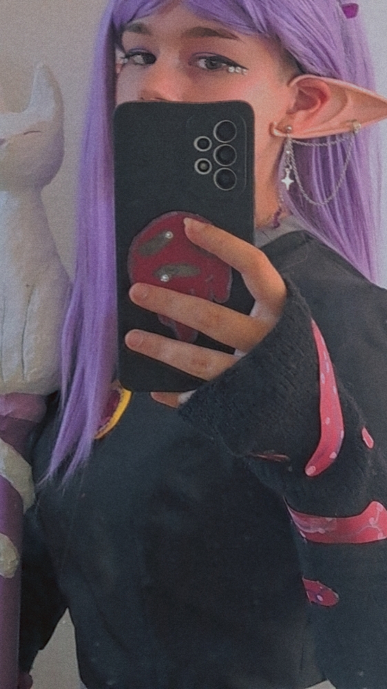 The owl house - Photo 1