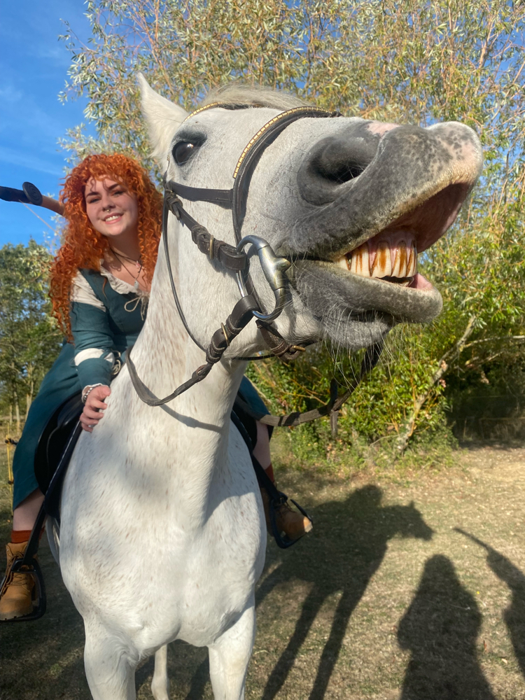 Merida — photo 7