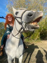 Merida preview 2