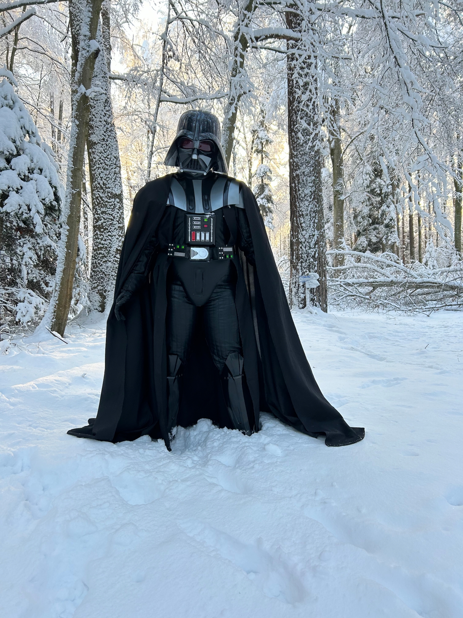 Snow Vader — photo 30