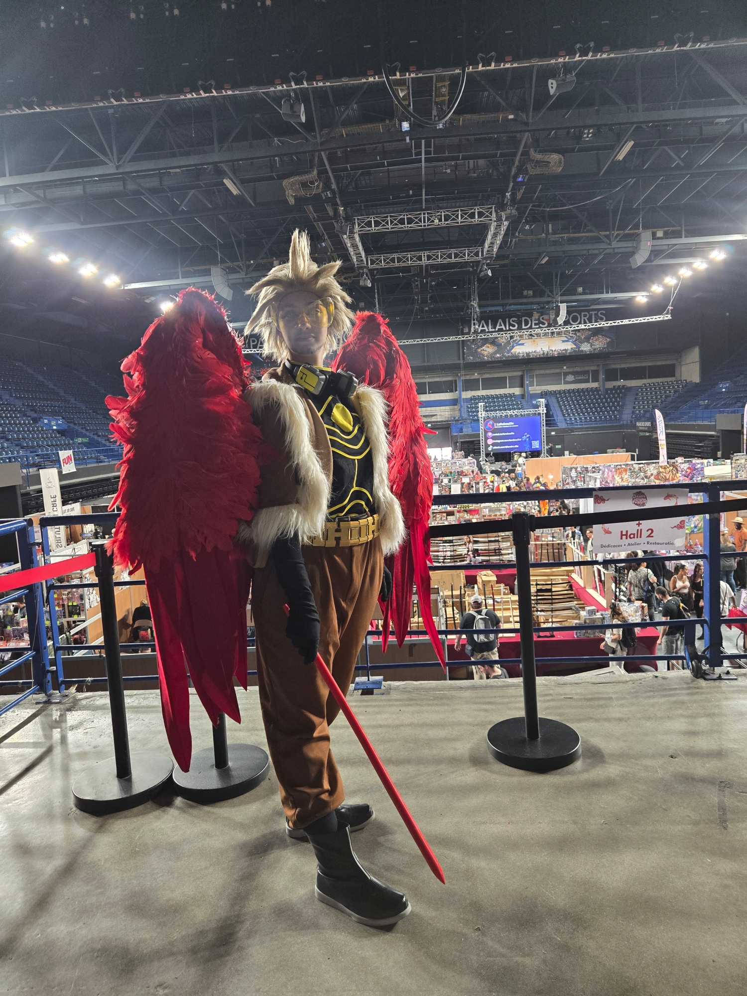 Hawks — photo 45