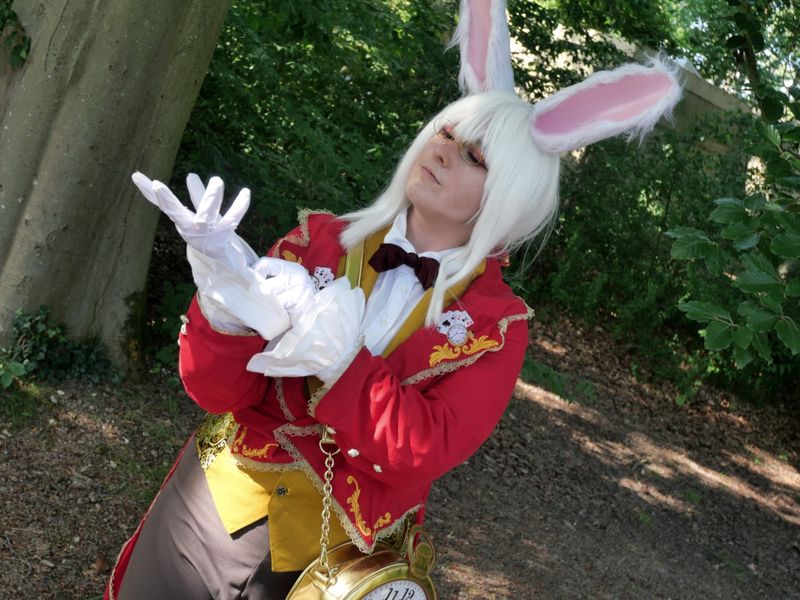 Calamity_garnet - Lapin blanc d'Alice