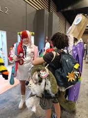 Uta conv + maison preview 3