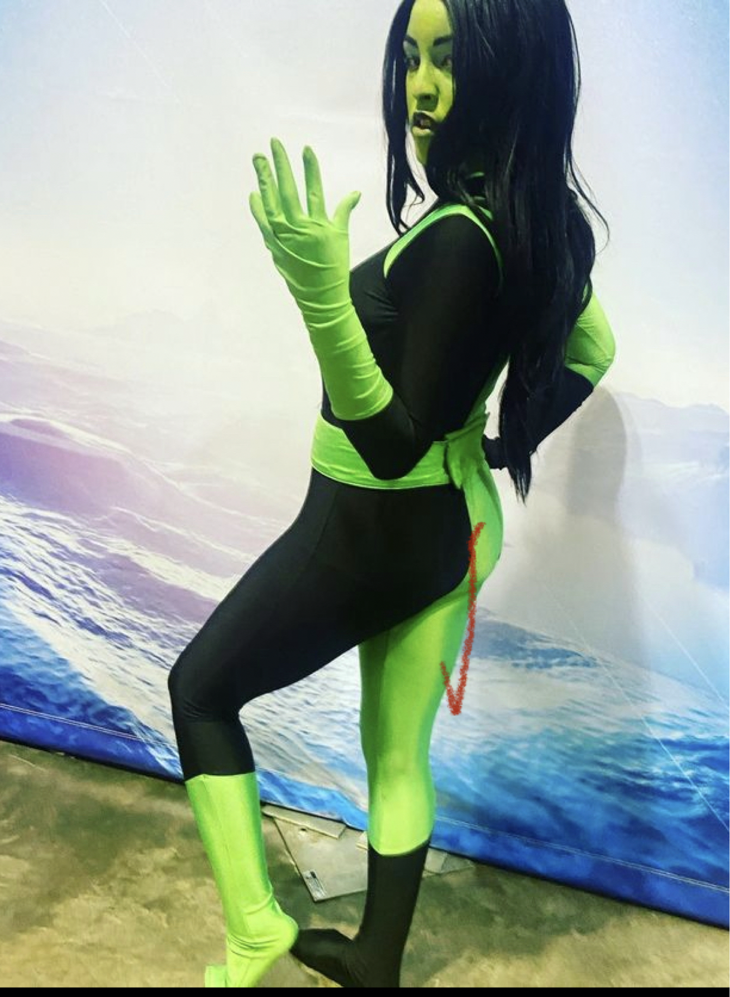 Shego — photo 5