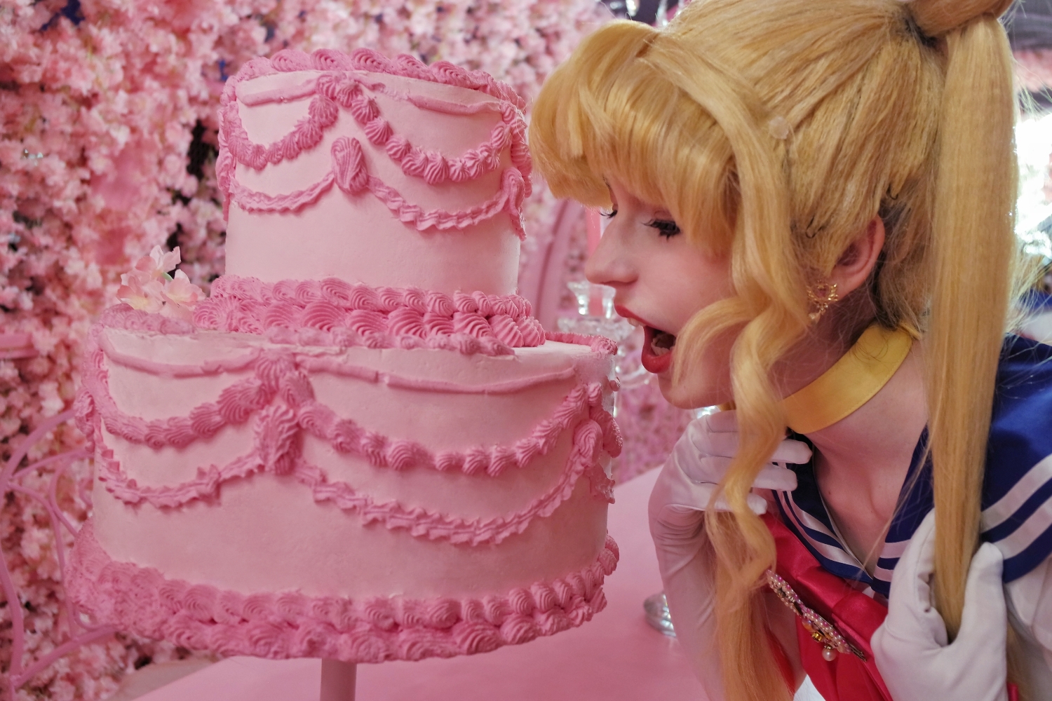 Sailor Moon - Photo 22