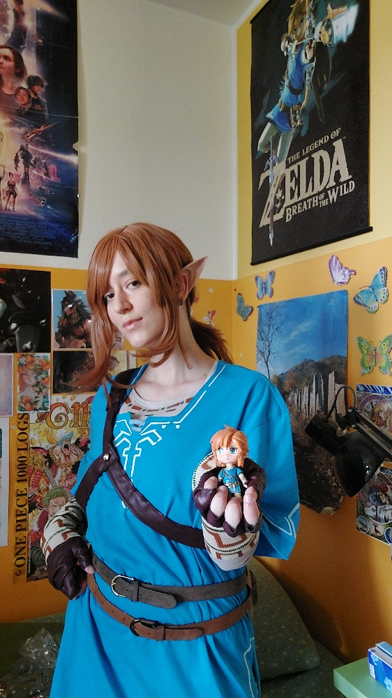 Link (Botw) - Photo 13