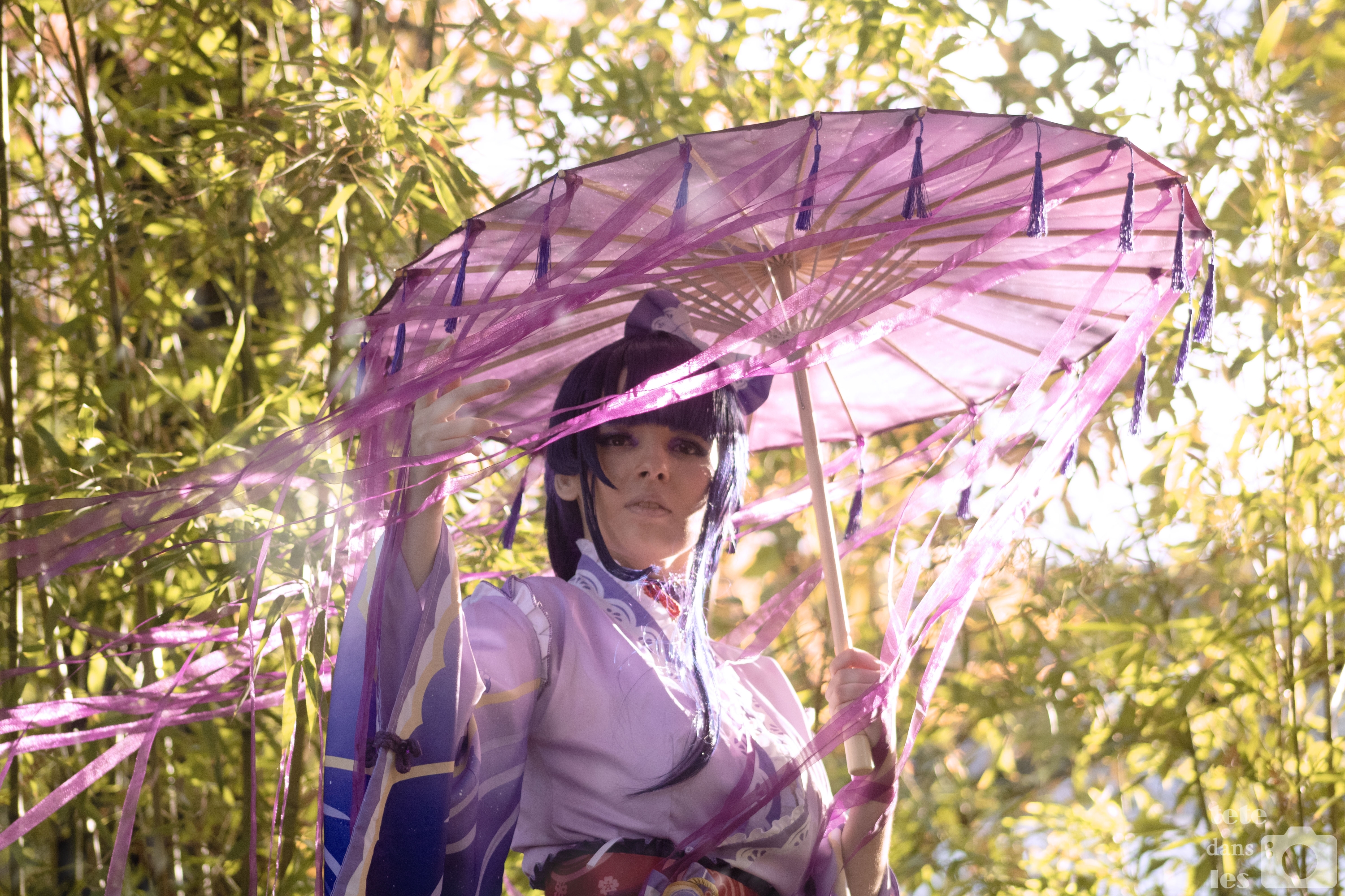 Raiden Shogun — photo 6