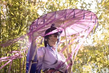 Raiden Shogun preview 3