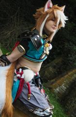 Gorou preview 3
