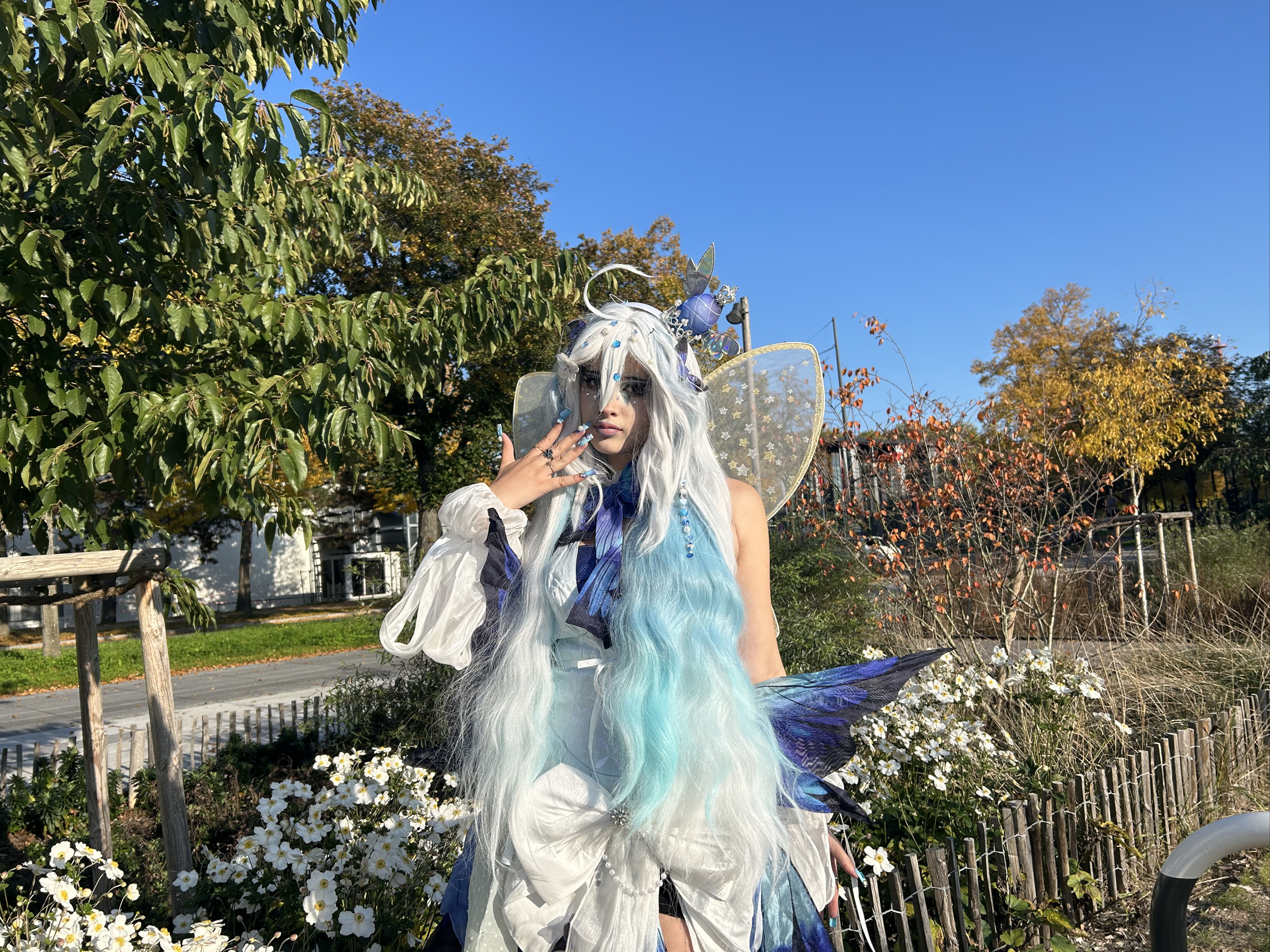 Miku butterfly  - Photo 3