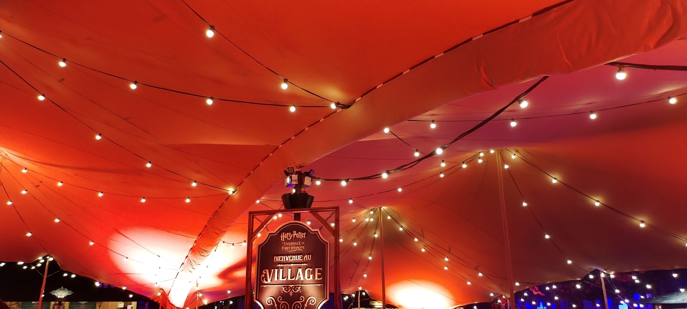 La forêt interdite - Photo 16