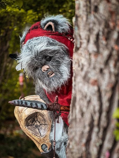 Utinni - Un Ewok À Vitrolles