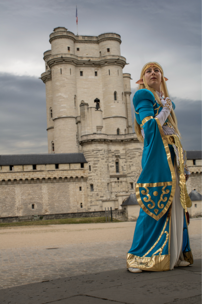 Zelda — photo 15