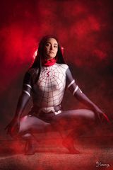 Silk preview 2