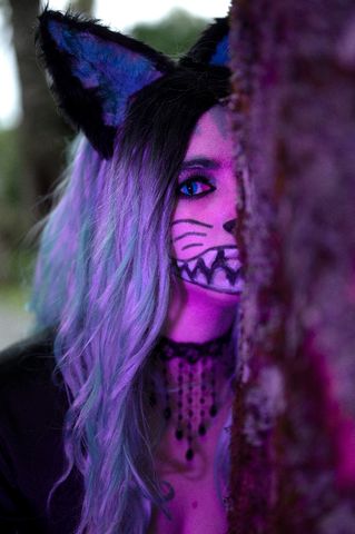 Chat du Cheshire