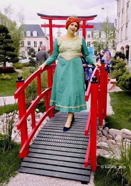 Morgane_arcaera_ - Fiona (shrek)