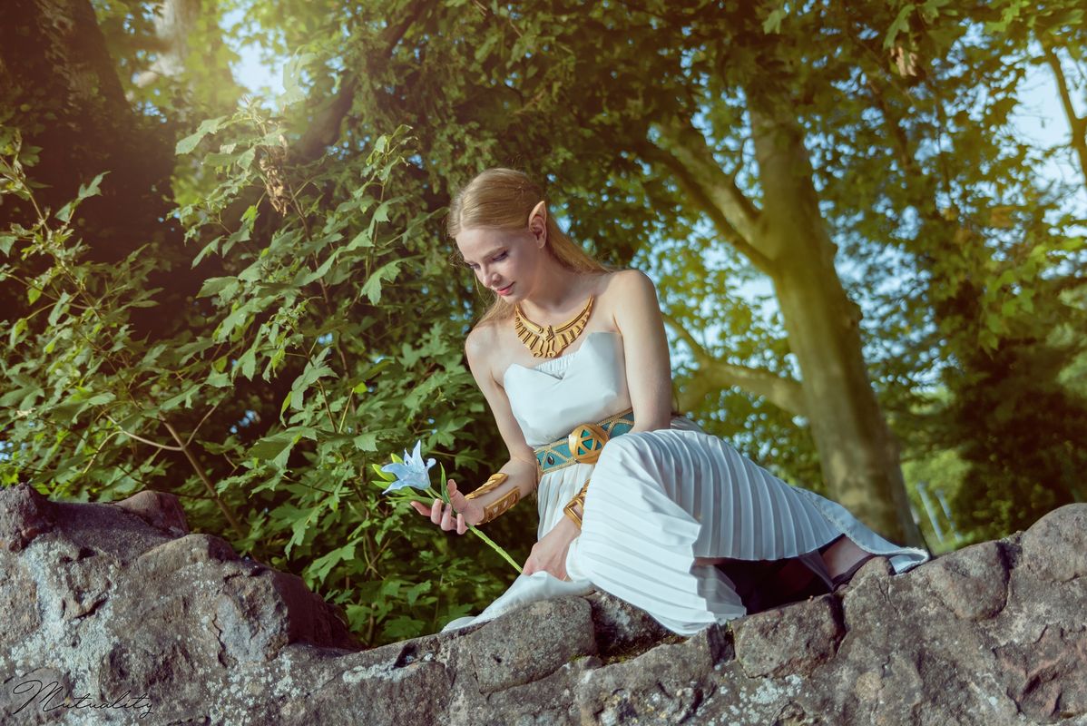 Dyantre – Zelda BOTW 1