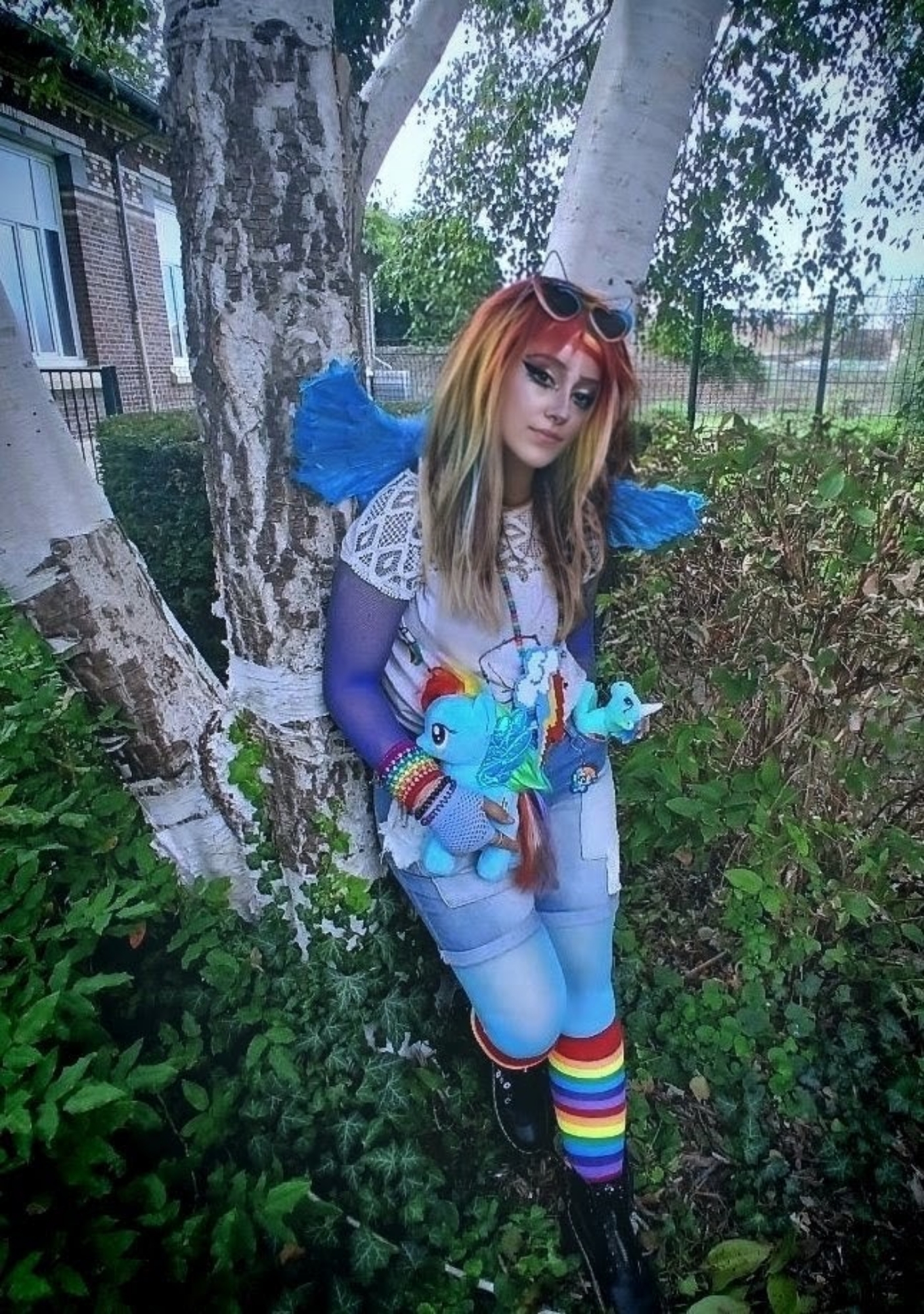Rainbow dash — photo 5