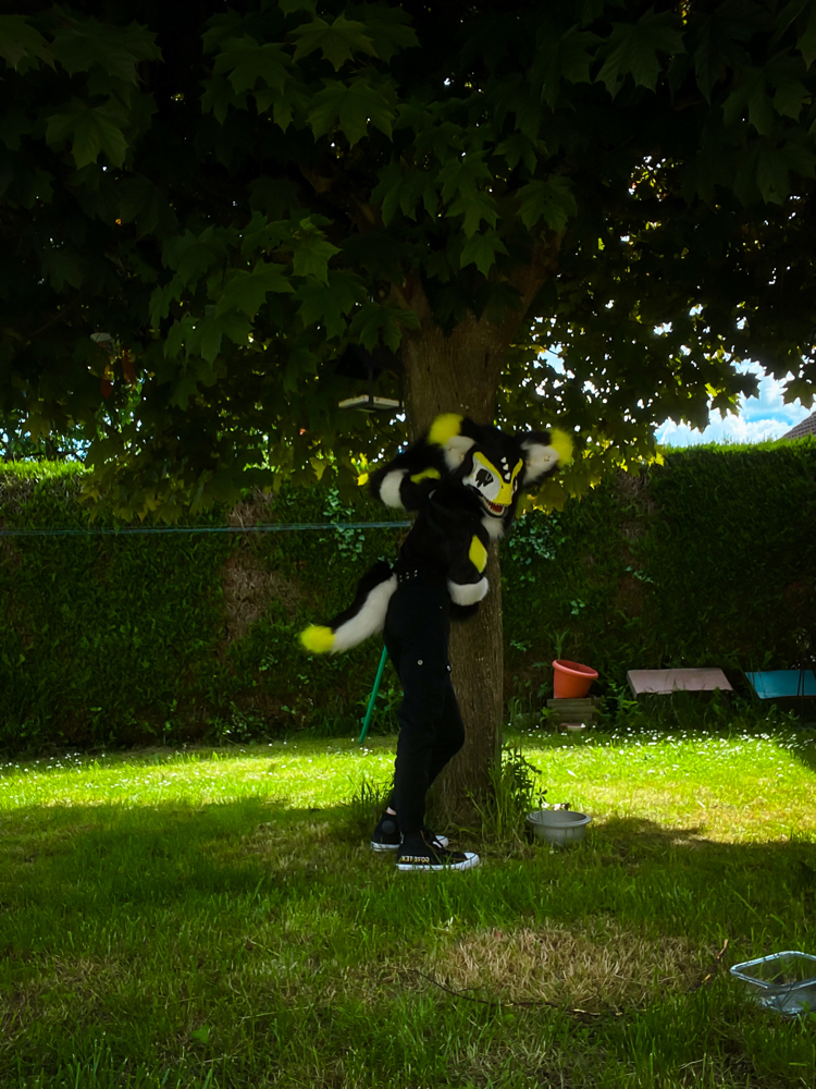 Photos Félix - Photo 6