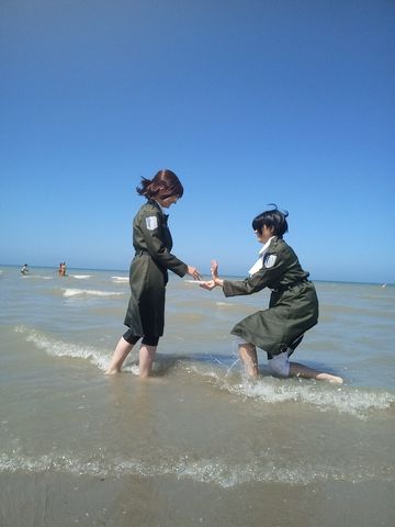Levihan