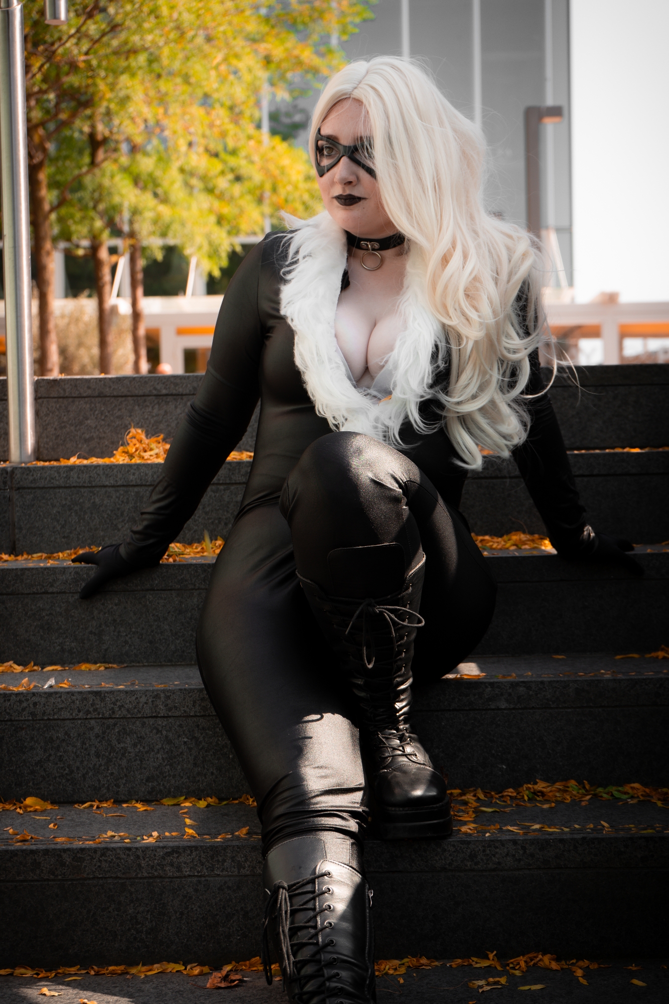 Black cat  - Photo 3