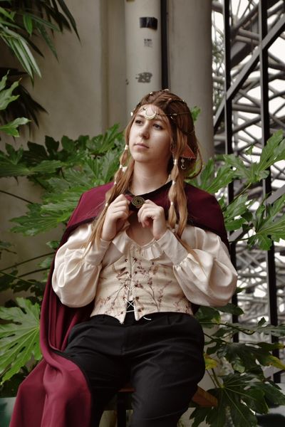 Louis - OC elfe