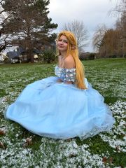 Zelda snow preview 2