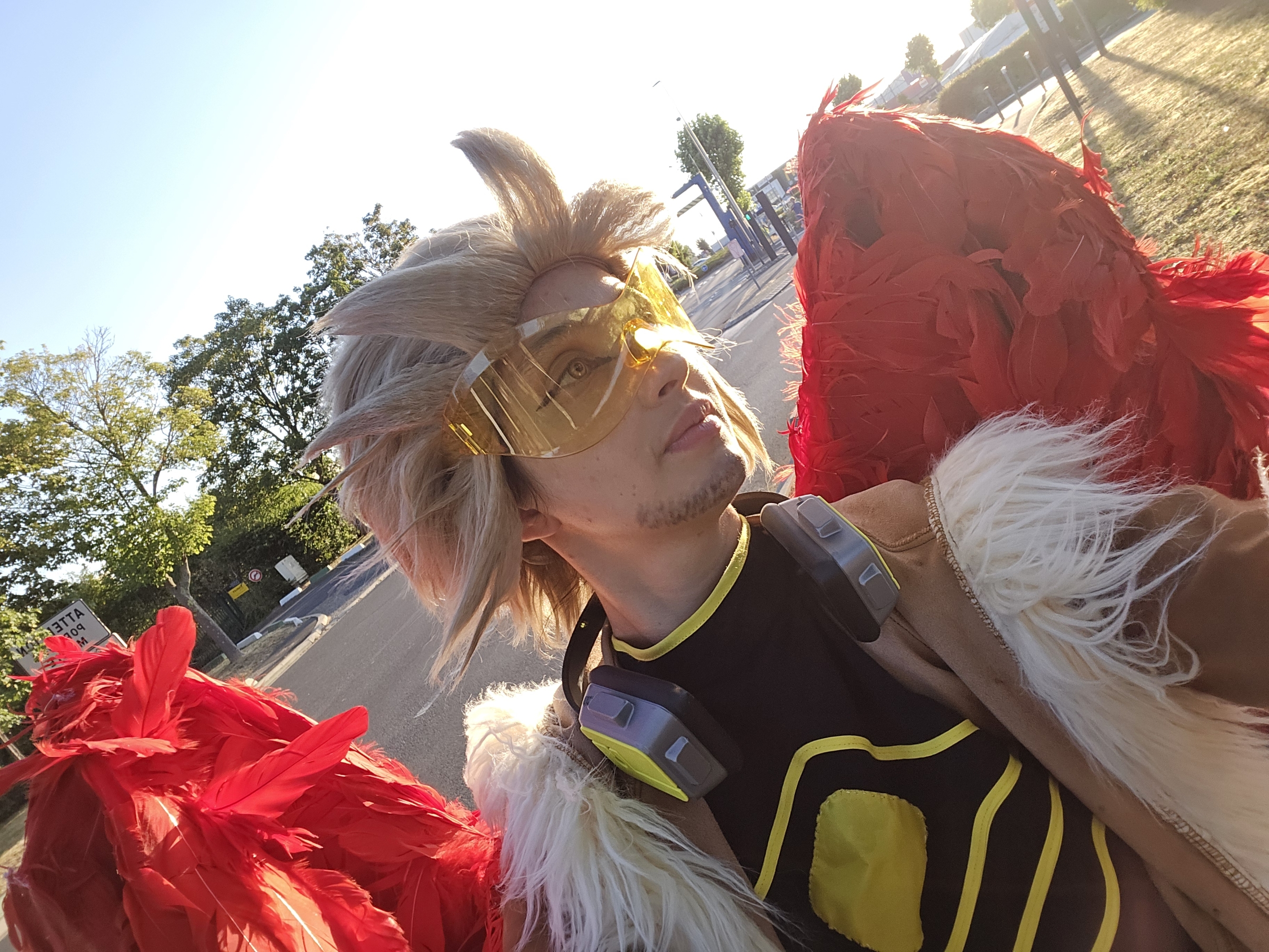 Hawks — photo 22