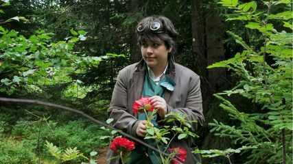 Wylan preview 2