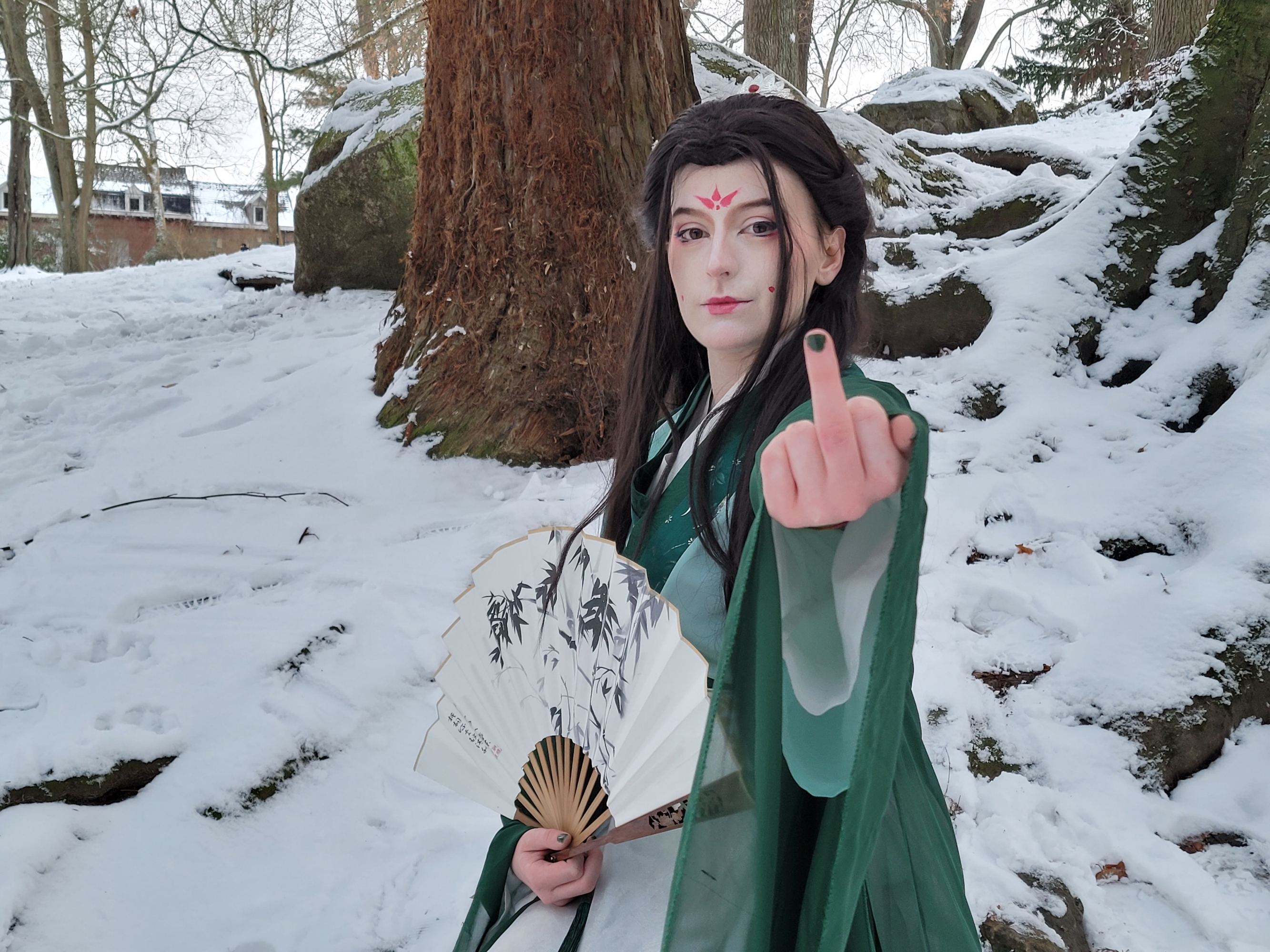 Sous la neige  - Photo 5