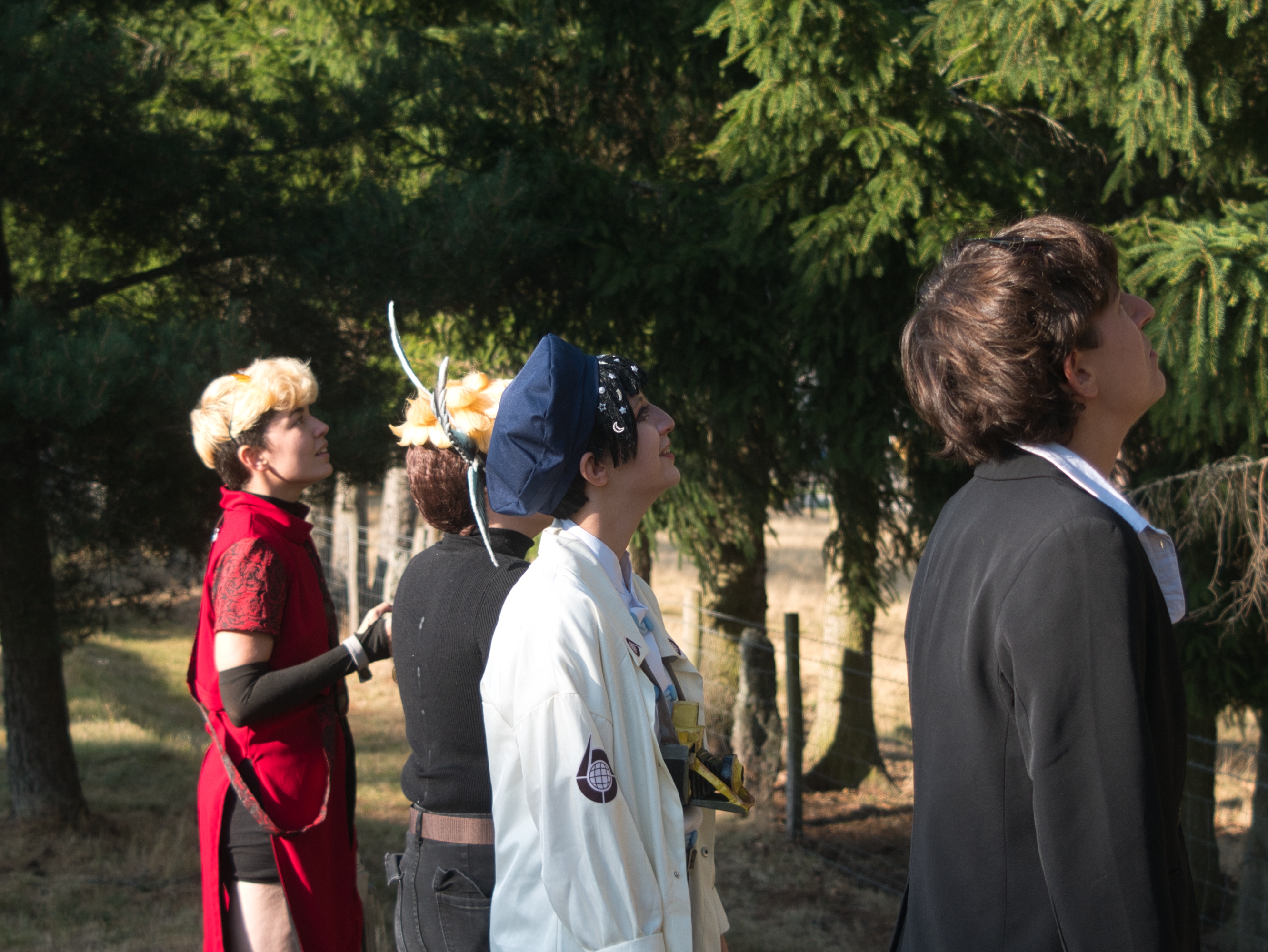 Photo gevaudan  - Photo 4