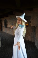 Elsa sorciere preview 3