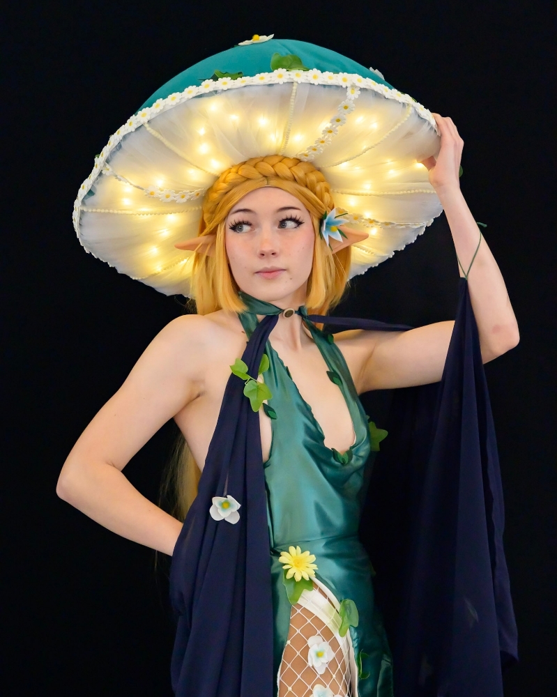 Zelda korogu - Photo 4