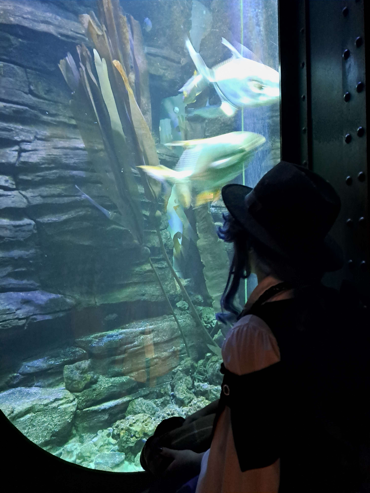 Haloween Layla(2023) - Photo 3