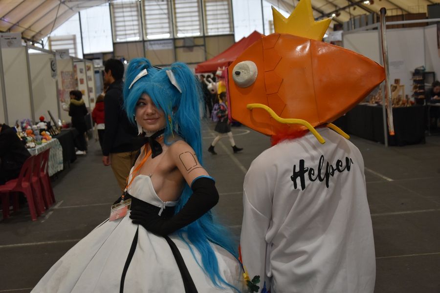 Phoenixas - Japan Chateauroux 1