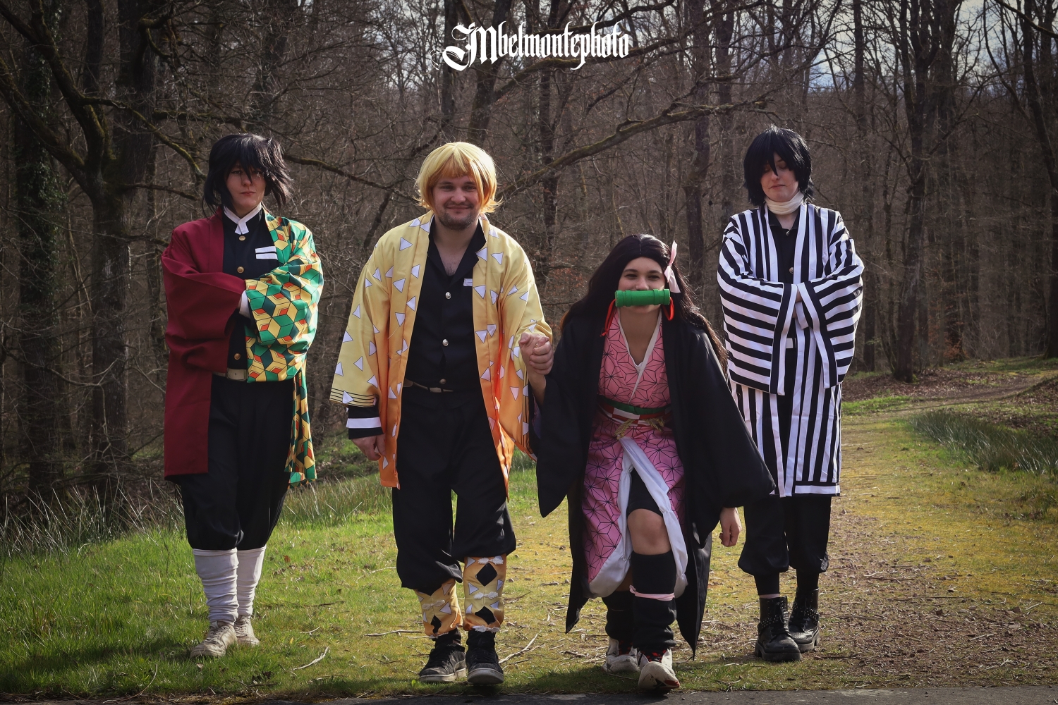 Demon slayer  - Photo 16