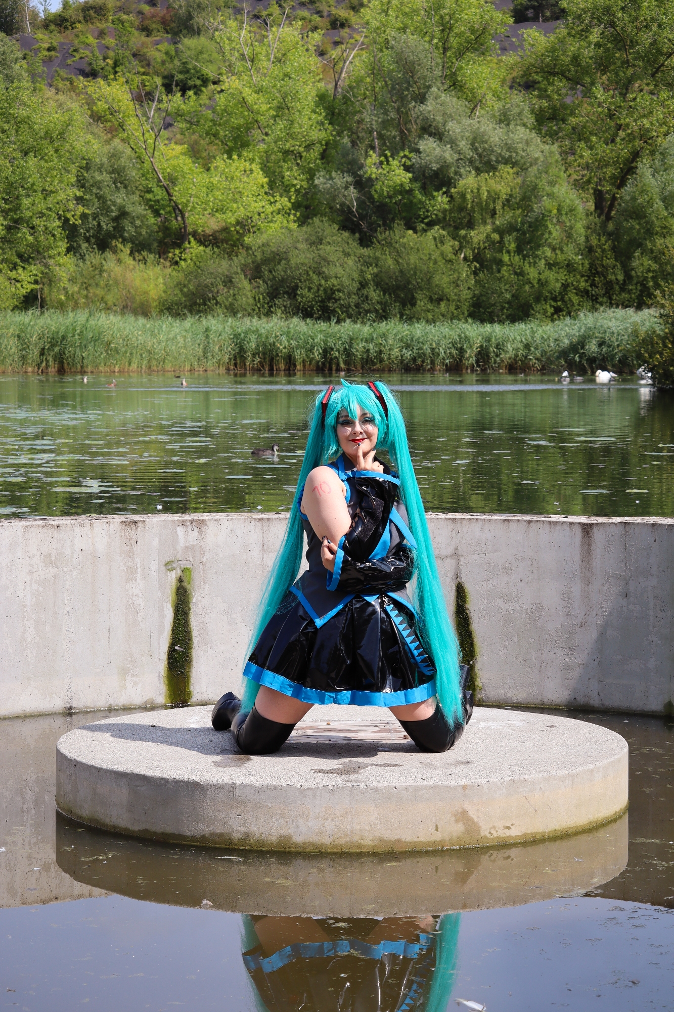 Miku — photo 5