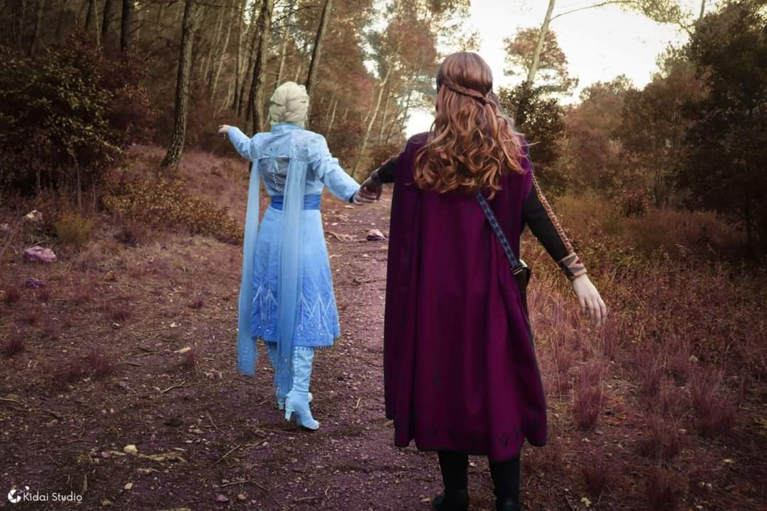 Elsa - Frozen2 - Photo 14