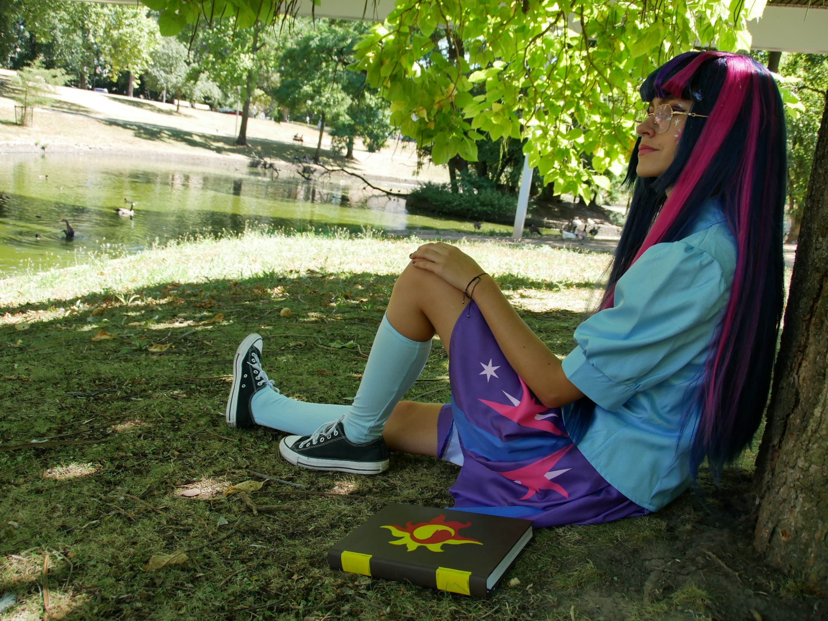 Twilight sparkle — photo 9