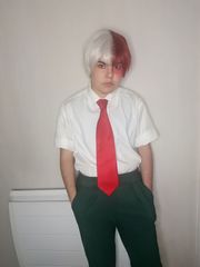 Shoto Todoroki preview 2