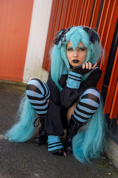 Nekoala - Hatsune Miku