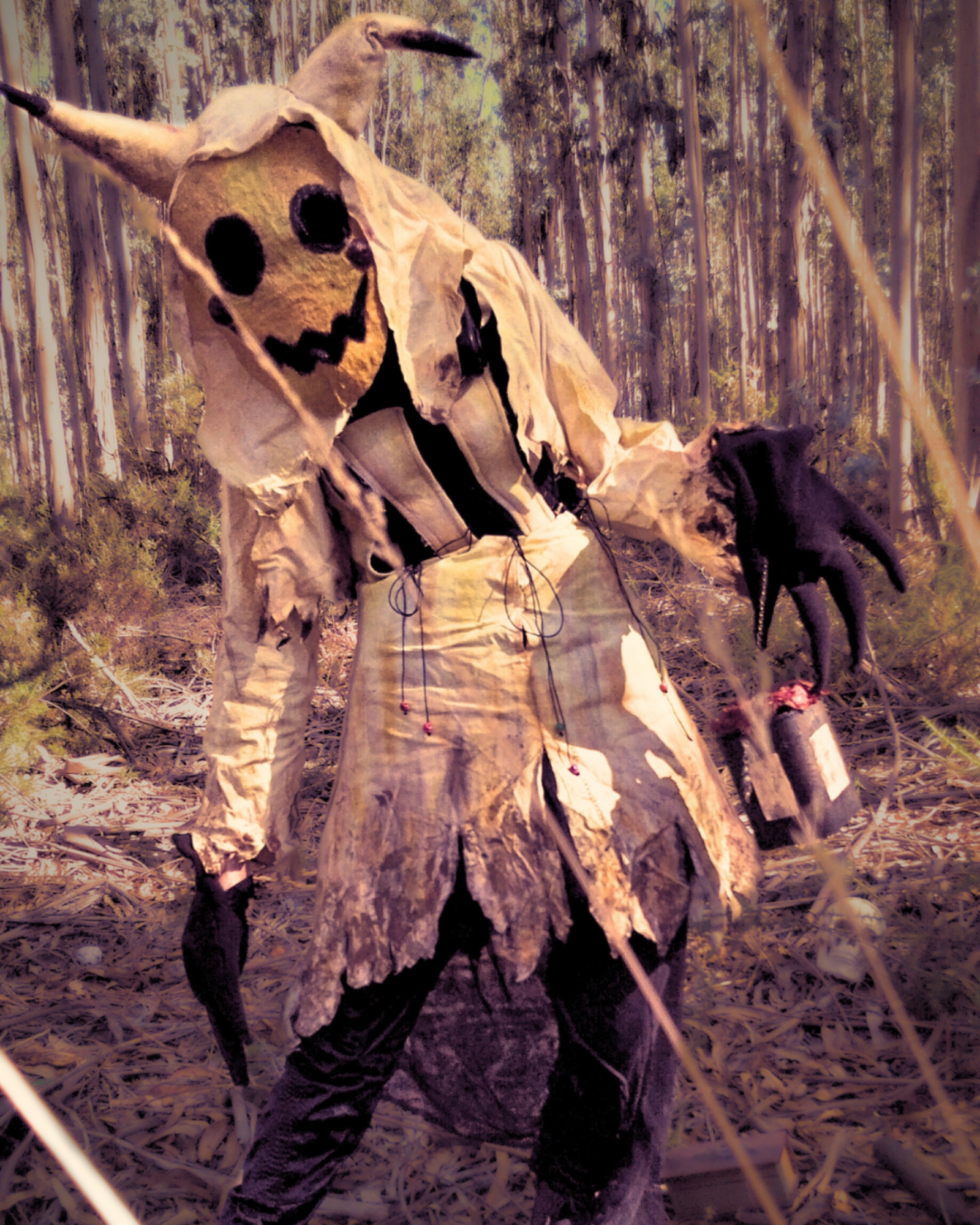 Mimikyu — photo 7