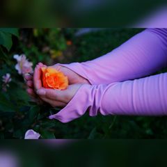 Flora preview 2