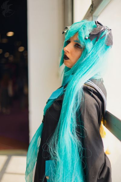 Nekoala - Hatsune Miku