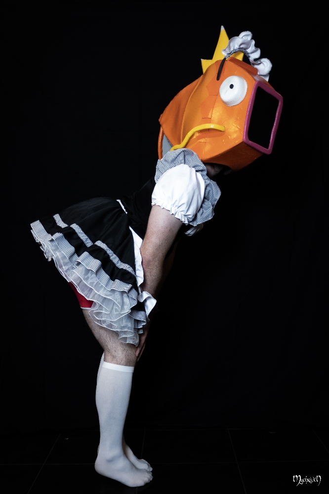 Test maidgicarpe - Photo 2