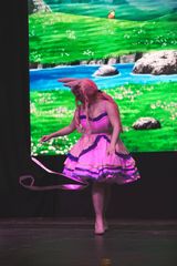 Concours limoge preview 2