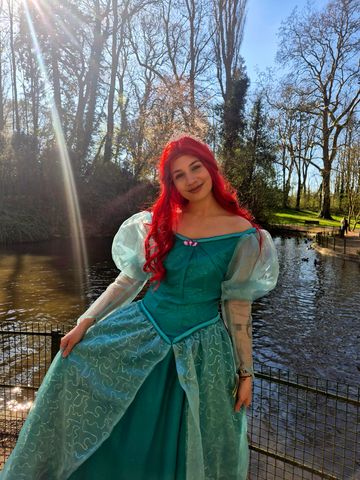 Ariel
