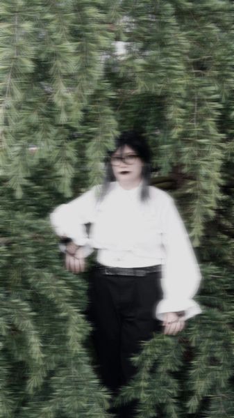 Softi - Akutagawa